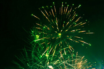 Green, bright fireworks, against the background of the night sky.
