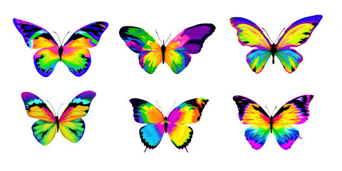 Set of 6 colorful butterflies