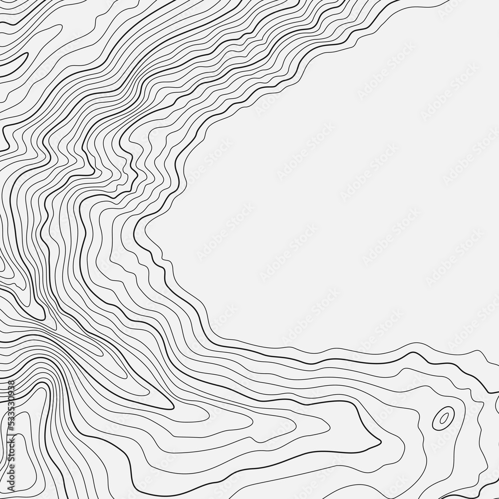 Wall mural stylized height of the topographic contour map in contours. abstract background. digital copy earth 