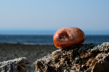 A close up image of a bright red carnelian geode resting on driftwood with the Pacific Ocean in the...