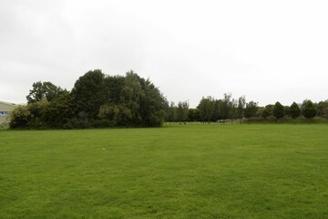 Fototapeta na wymiar grass field in the park