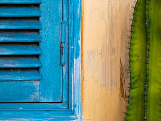 Muro amarillo con ventana azul y cactus apoyado en ella. Fondo para cartelería o diseño