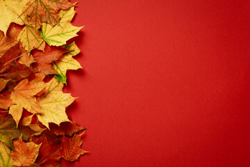 Maple leaves on red background. Autumn, Thanksgiving Day sale banner design. Flat lay, top view, copy space.