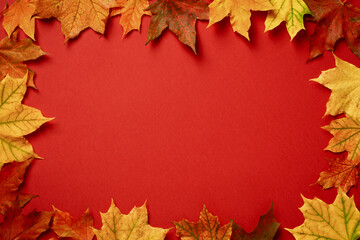 Naklejka na ściany i meble Autumn flat lay composition. Frame of different maple leaves on red background.