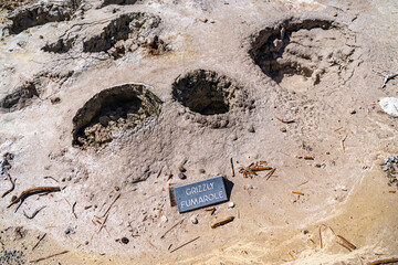 Grizzly Fumarole, Mud Volcano Thermal Area, Yellowstone National Park.