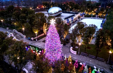  Chicago Christmas Tree © 606 Vision