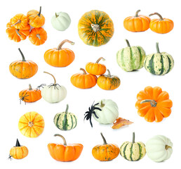 Set of autumn pumpkins with Halloween decorations on white background