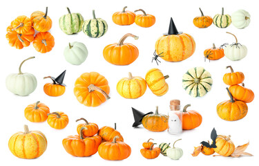 Collection of autumn pumpkins with Halloween decorations on white background