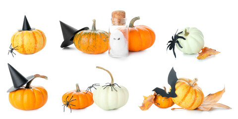 Collage of autumn pumpkins with Halloween decorations on white background