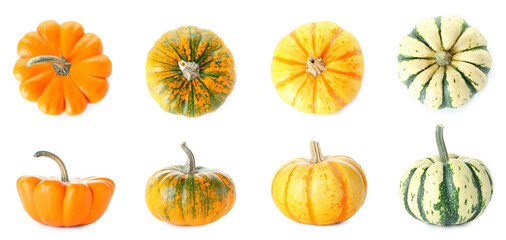 Group of fresh pumpkins on white background
