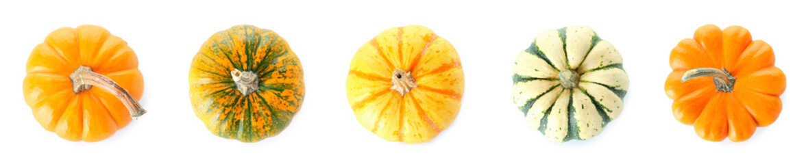 Collage of fresh pumpkins on white background, top view