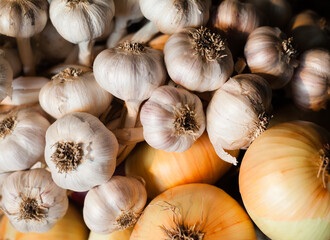 Garlic and onion. Rich harvest.