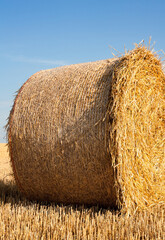 Straw roll on the field.