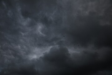 Obraz premium Picturesque view of birds in sky with heavy rainy clouds