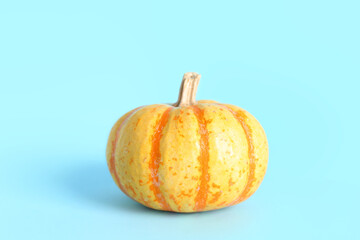 Halloween pumpkin on color background