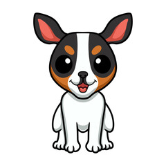 Cute rat terrier dog cartoon