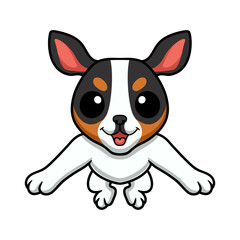 Cute rat terrier dog cartoon