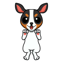 Cute rat terrier dog cartoon standing