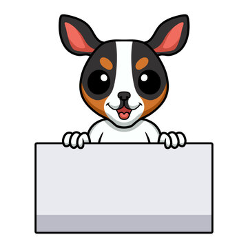 Cute rat terrier dog cartoon holding blank sign