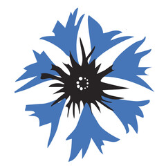 Kornblume or cornflower 