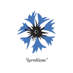Kornblume is a beautiful flower with special meaning to german americans.
