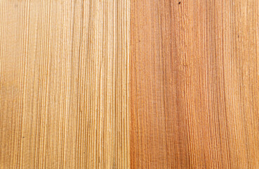 Brown wood texture. Abstract background, empty template