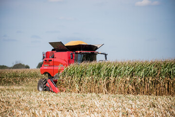 red combine harvesting corn in field