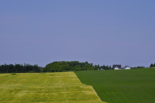 Agricultural fields, Darnley, Prince Edward Island, Canada