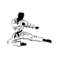 Fototapeta na wymiar karate silhouette. man doing front jump kick. martial art vector illustration.