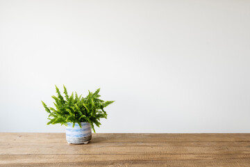 Fern houseplant in pot on natural wood table. Whitespace and light background.