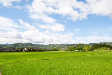 姶良市永瀬の田園地帯	