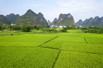 Fotobehang mountain and river and field in Guilin China © 哲 樊