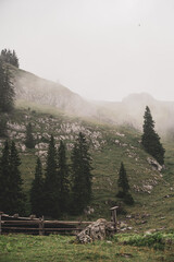 Fototapeta premium misty morning in the mountains