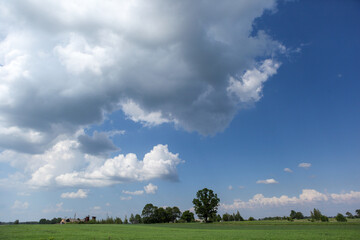 Fototapeta premium A warm day in the countryside, small clouds in the lower sky and on the horizon. Everything palm and green.