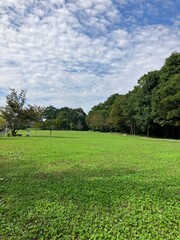 人のいない広い公園