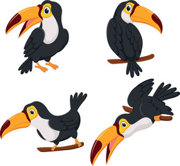 Set of lovely toucans from different angles on white background. 