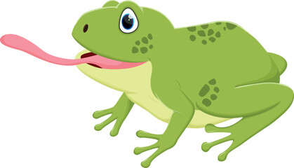 Cartoon cute frog, isolated on white background