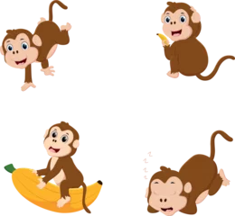 Fototapete Affe   Cartoon Cute monkey set  isolated on white background