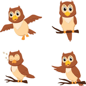 Cartoon cute owl set  isolated on white background