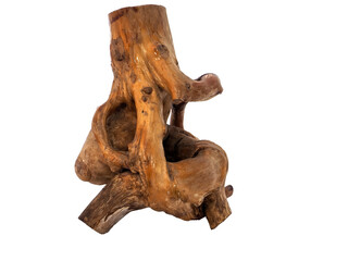 Fototapeta na wymiar Stylized human figure made from tree roots