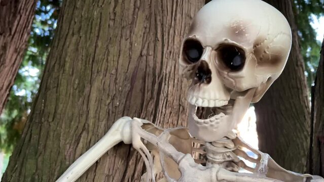 A human skeleton sits on a tree, and next to it is a skeleton of a bird, a vulture, the camera slowly floats by, shooting a video for Halloween Background for text on Halloween autumn holiday
