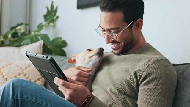 Happy, man and dog on sofa with tablet laughing in playful happiness and love for pet relaxing at home. Male freelancer smile and playing with loving animal on couch while reading news on touchscreen