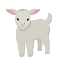 Cute lamb character isolated on white background. Childish vector flat illustration with farm animal for kids