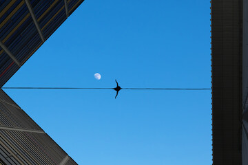 Man balancing on the rope risk taking concept