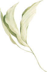 Tropical Exotic Green Leaf Boho Floral Pastel Watercolor Ethereal Jungle