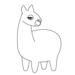 Line alpaca girl. Outline illustration isolated white. Funny llama animal for childish coloring book