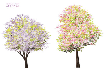 Vector watercolor blooming flower tree side view isolated on white background for landscape and architecture drawing, elements for environment or and garden,botanical elements for section in spring
