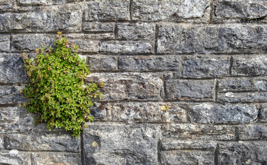 Mixed texture of stone and bricks on the wall of an ancient mill