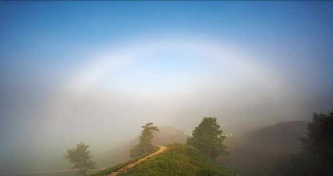 Mystic natural phenomena, fogbow in the morning light