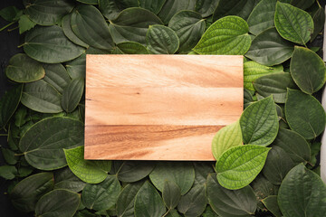 Wooden on Green leaf background for copy space. Ecology background.